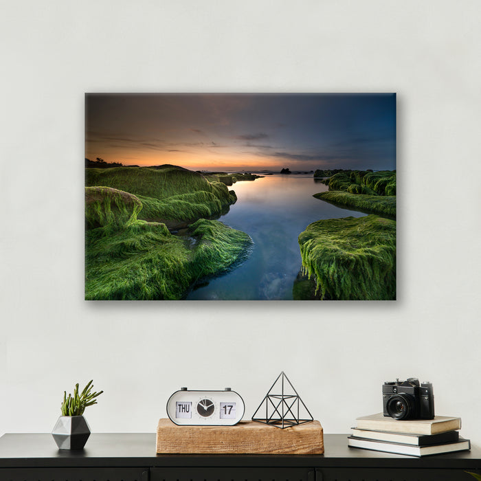 Mossy Beach - Print - MetalPlex