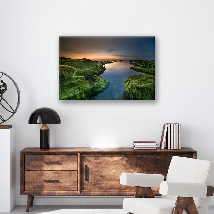 Mossy Beach - Print - MetalPlex