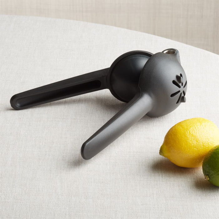 Rabbit ® Citrus Juicer - Crate and Barrel Philippines