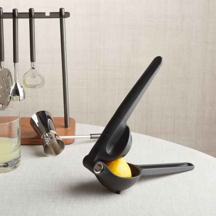 Rabbit ® Citrus Juicer - Crate and Barrel Philippines