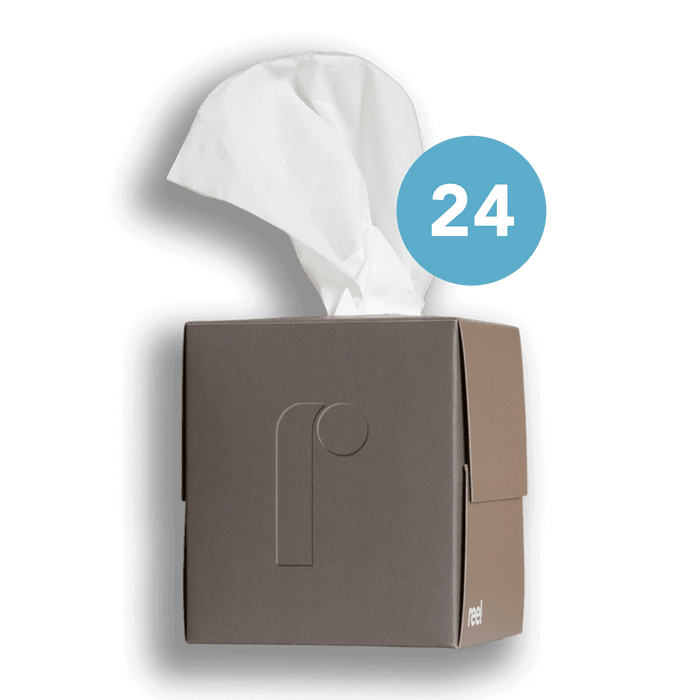 Reel Bamboo Tissues Toilet Paper ReelPaper