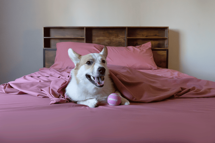 Retro Rose Sheet Set