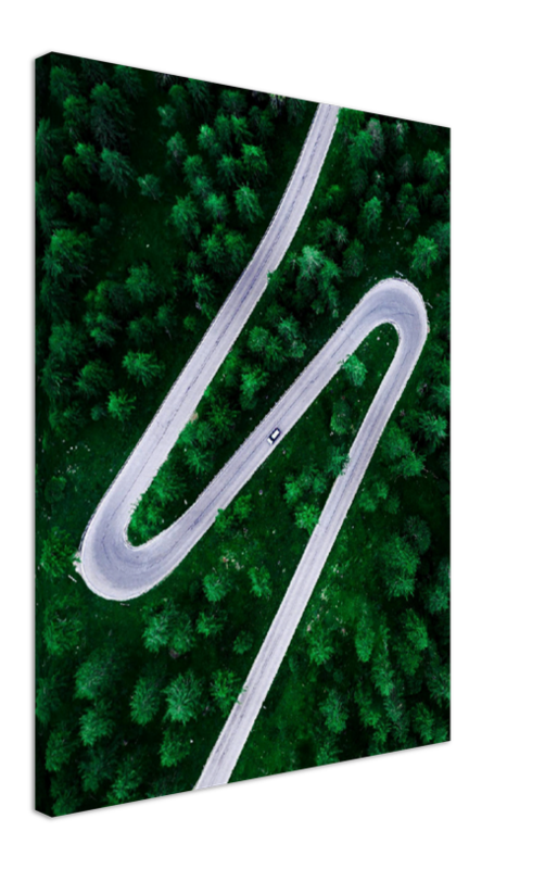 Road Through Forest - Print - MetalPlex