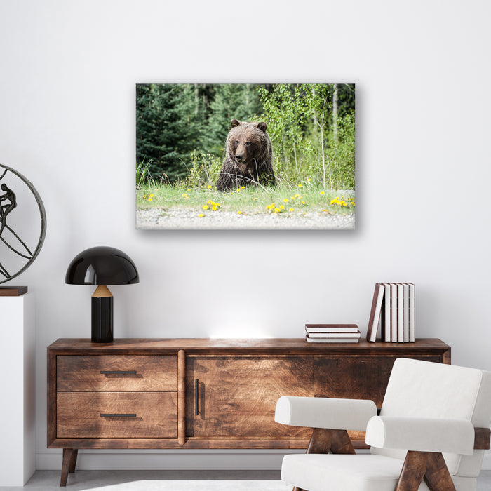 Roadside Bear - Print - MetalPlex