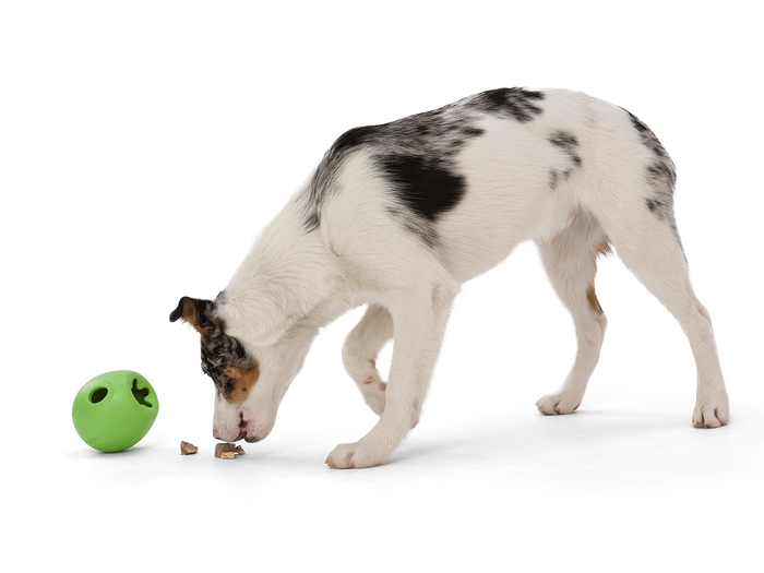 Rumbl The Final Fetch