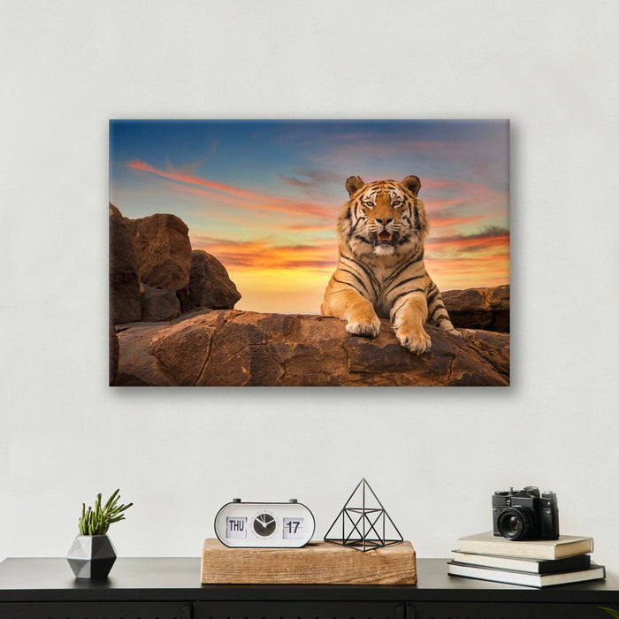 Safari Tiger - Print - MetalPlex