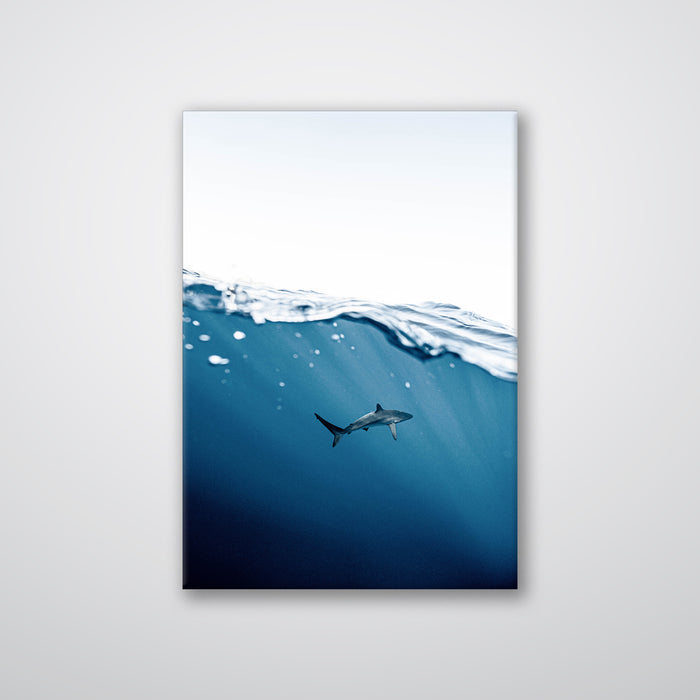 Shark Near Surface - Print - MetalPlex