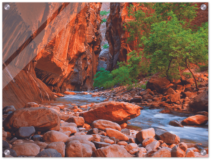 Virgin River, Zion National Park - Print - MetalPlex