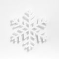 White Snowflake Trivet