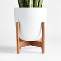 Willis Plant Stand Medium