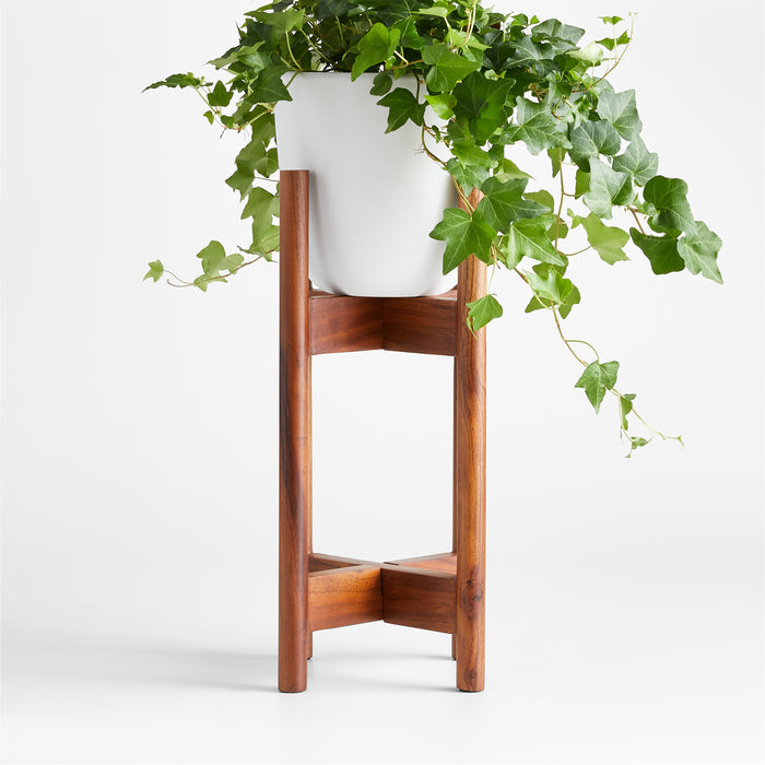 Willis Plant Stand Tall
