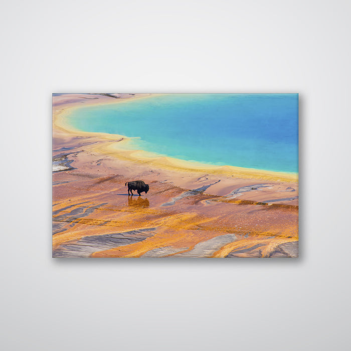 Yellowstone Prismatic Spring - Print - MetalPlex
