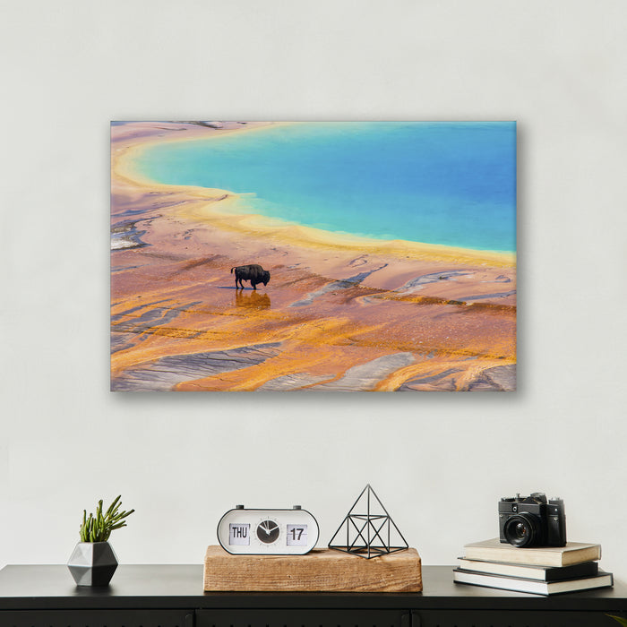 Yellowstone Prismatic Spring - Print - MetalPlex